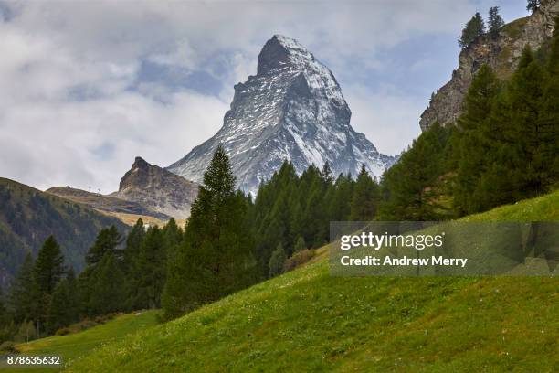 matterhorn snow-capped with pine forest, green grass and clouds, taken from zermatt. a classic summer swiss landscape - monte cervino stockfoto's en -beelden