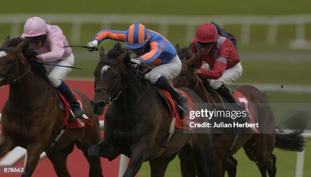Curragh R 163 Reland Stock Photos, High-Res Pictures, and Images - Getty Images