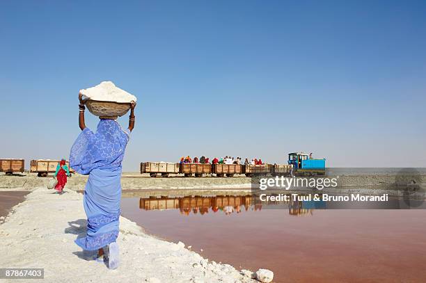 rajasthan, salt mine on the sambhar salt lake - salt mineral stock pictures, royalty-free photos & images