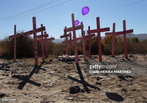 View of crosses representing 26 murdered women during a protest on the eve of the International Day for the Elimination of Violence Against Women, on...