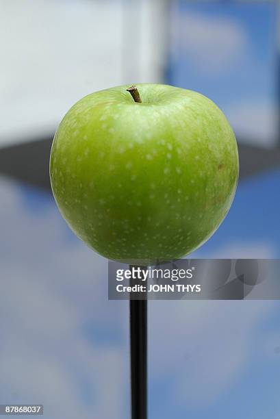 Large green apple is displayed during the press opening of the new Magritte museum dedicated to the life and works by the Belgian artiste Rene...