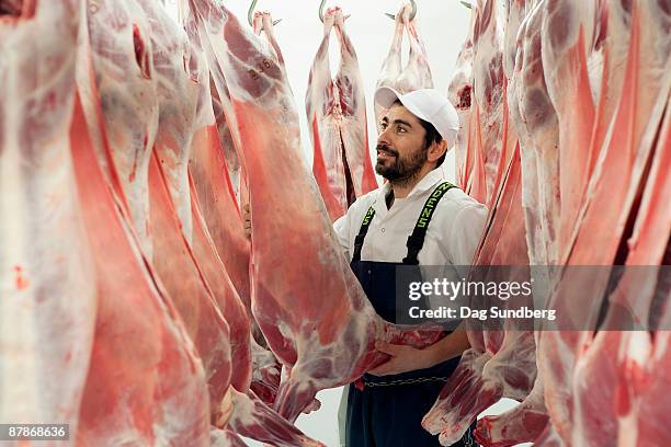 butcher in abattoir with ecological meat - abattoir stock pictures, royalty-free photos & images