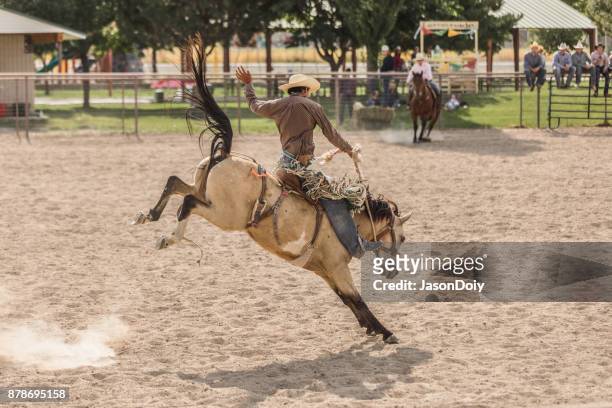 rodeo reiten bucking bronco ohne sattel - bucking stock-fotos und bilder