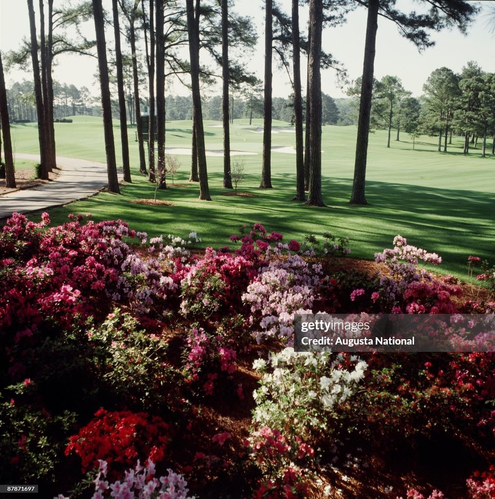 Augusta National Archive