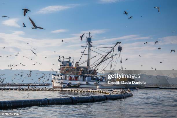 fisherman boat - hvar town stock pictures, royalty-free photos & images