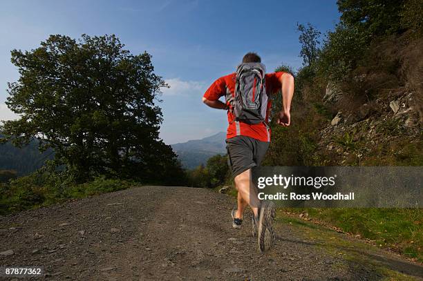 2,340 Man Running With Backpack Stock Photos, High-Res Pictures, and ...
