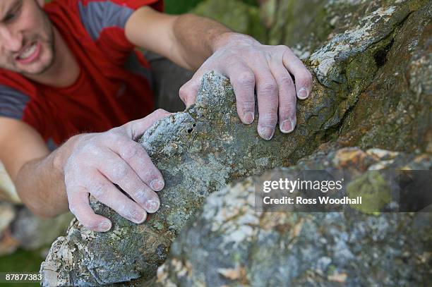 551 Man Pulling Rock Stock Photos, High-Res Pictures, and Images ...