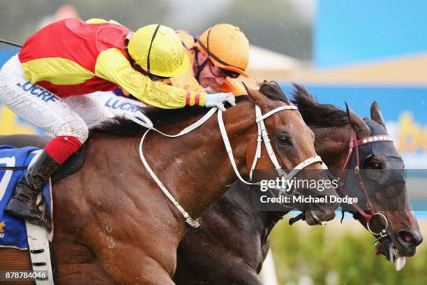 Jockey Michael Walker riding New Universe wins race 7 the Maxitrans Handicap on Ballarat Cup Day at the Ballarat Turf Club on November 25, 2017 in...