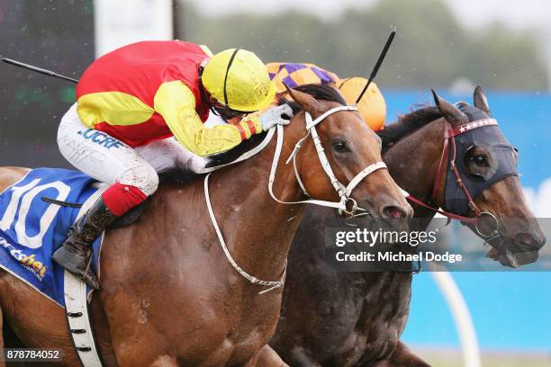 Jockey Michael Walker riding New Universe wins race 7 the Maxitrans Handicap on Ballarat Cup Day at the Ballarat Turf Club on November 25, 2017 in...