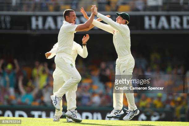 Josh Hazlewood of Australia celebrates after taking the wicket of James Vince of England during day three of the First Test Match of the 2017/18...