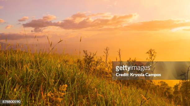 awesome sky at sunset in costa rica - prairie grass stock pictures, royalty-free photos & images
