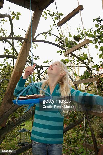 girl guiding cupcake lift to treehouse - child picking up toys stock pictures, royalty-free photos & images