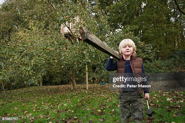 young boy building treehouse - hamer stockfoto's en -beelden