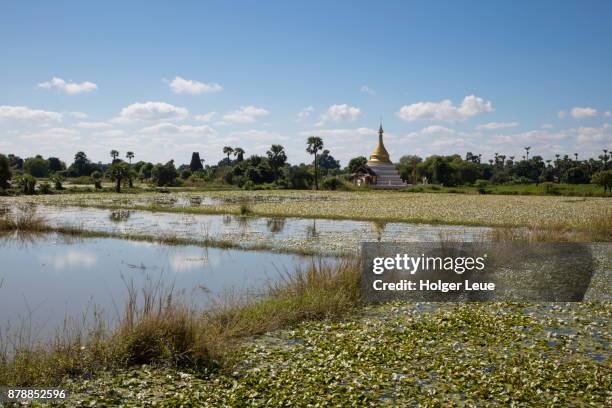 water fields and pagoda, ava (innwa), mandalay, myanmar - ava stock pictures, royalty-free photos & images