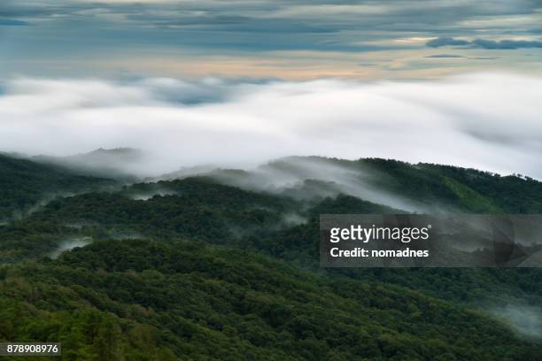clouds moving over forest,hazy sky over mountain,low shutter speed effect. - humid stock pictures, royalty-free photos & images