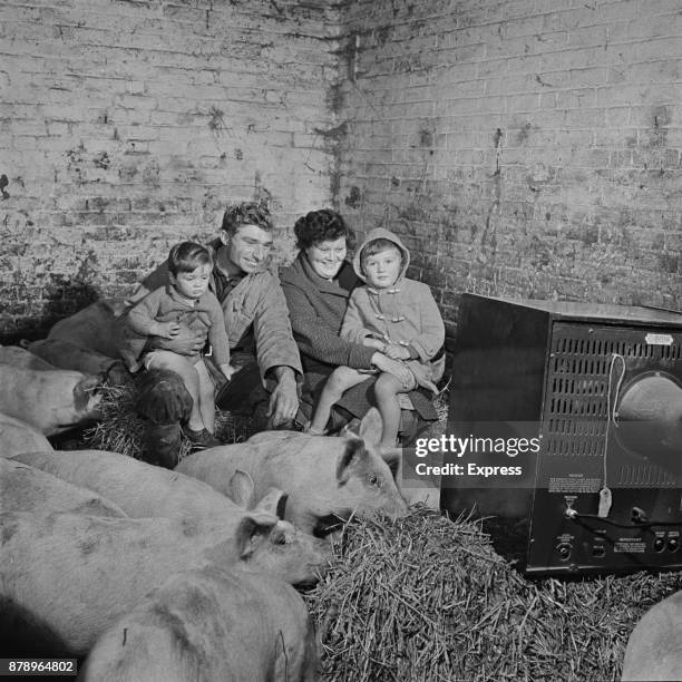 Mr and Mrs Brown with his children watching television in a pigsty, UK, 1960.