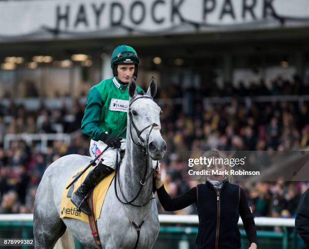 Bristol De Mai ridden by Daryl Jaob in the Parade Ring before the Betfair Chase on November 25, 2017 in Haydock, England.