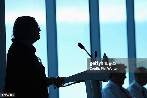 Briscoe Group Chairman Rosanne Meo delivers the annual financial results to shareholders at the Annual General Meeting on May 22, 2009 in Auckland,...