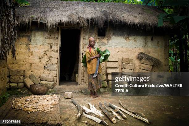 portrait of woman carrying banana leaves outside house, masango, cibitoke, burundi, africa - burundi east africa ストックフォトと画像
