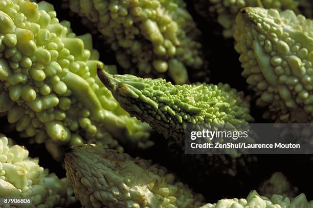 608 Bumpy Vegetable Stock Photos, High-Res Pictures, and Images - Getty ...