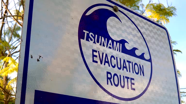 Tsunami video footage for kids Tsunami video footage for kids