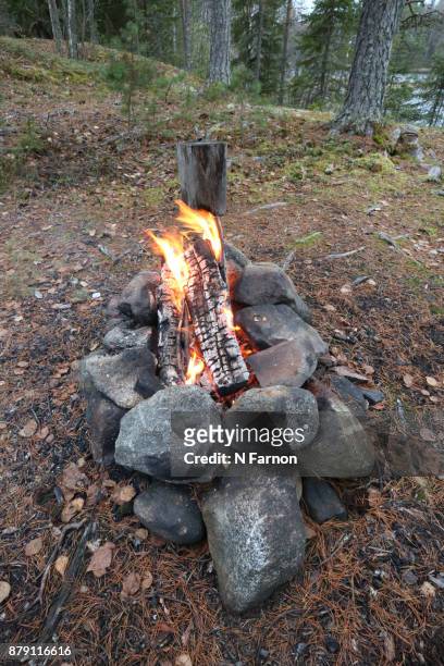 camp fire in finland - n farnon stock pictures, royalty-free photos & images
