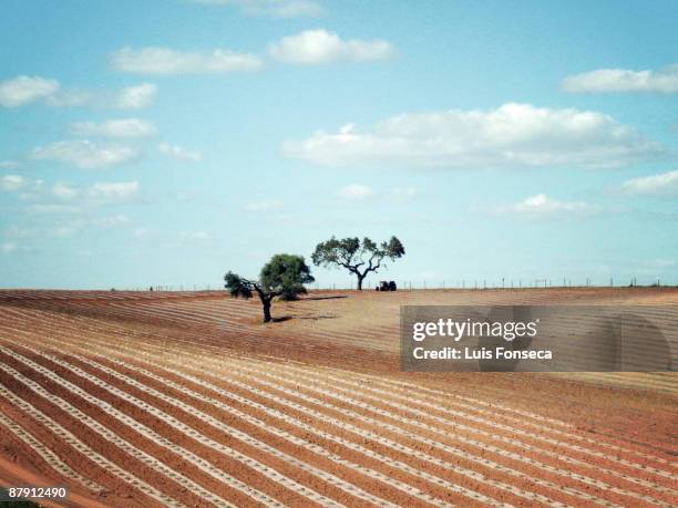 after alqueva dam. - alentejo stockfoto's en -beelden