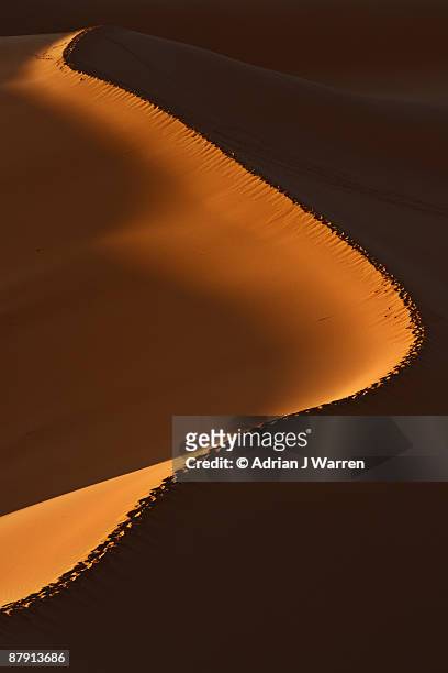 sahara desert dunes at sunrise - meknes bildbanksfoton och bilder