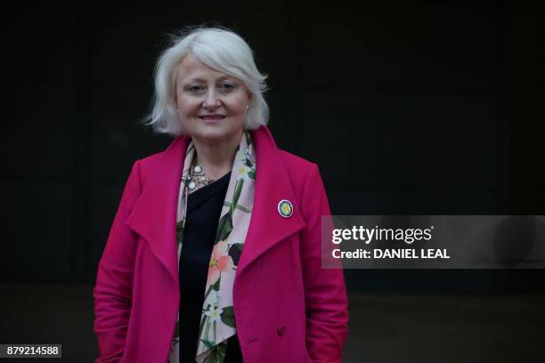 Main opposition Labour Party member of parliament Siobhain McDonagh, MP for Mitcham and Morden, poses for a portrait in central London on November...