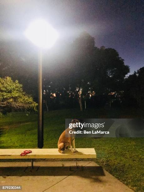 Chuck Bench Occidental College