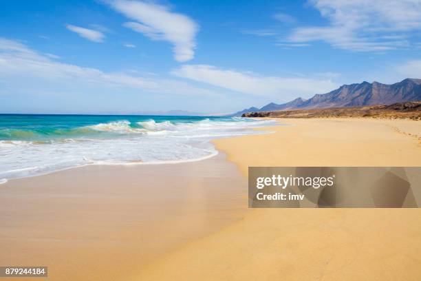 jandía natual park beach med fantastiska turquioise vatten - fuerteventura bildbanksfoton och bilder