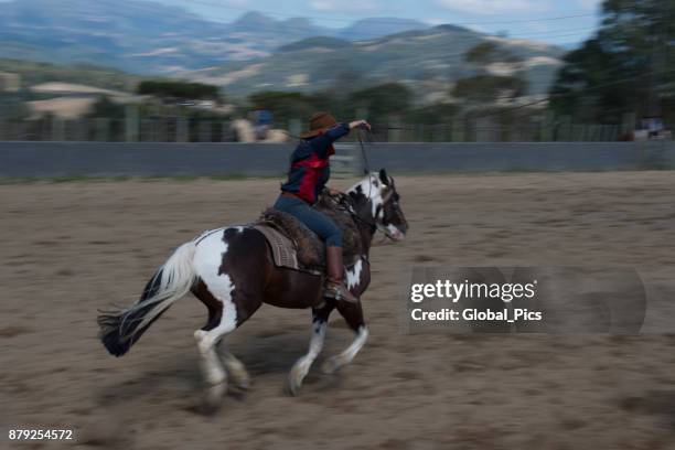 rodeo - brazil (rodeo crioulo) - prenda stock pictures, royalty-free photos & images