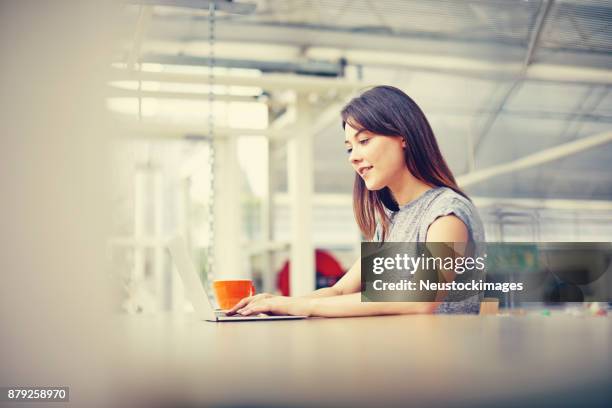 junge frau mit laptop im café-tisch - neustockimages stock-fotos und bilder