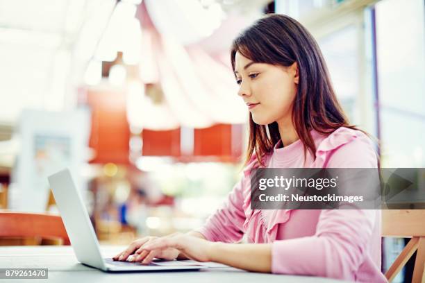 junge weibliche blogger mit laptop am tisch im café - neustockimages stock-fotos und bilder