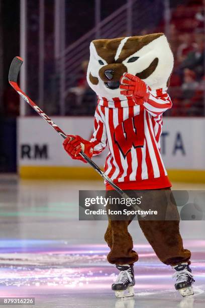 Wisconsin mascot Bucky Badger practices his stick handling during a college hockey game between the University of Wisconsin Badgers and the...