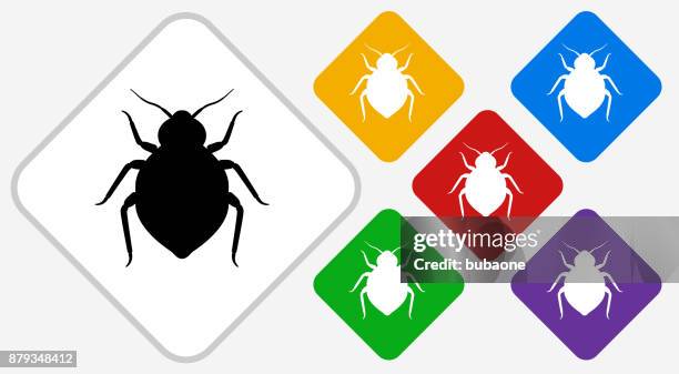 bedbug color diamond vector icon - bed bug stock illustrations