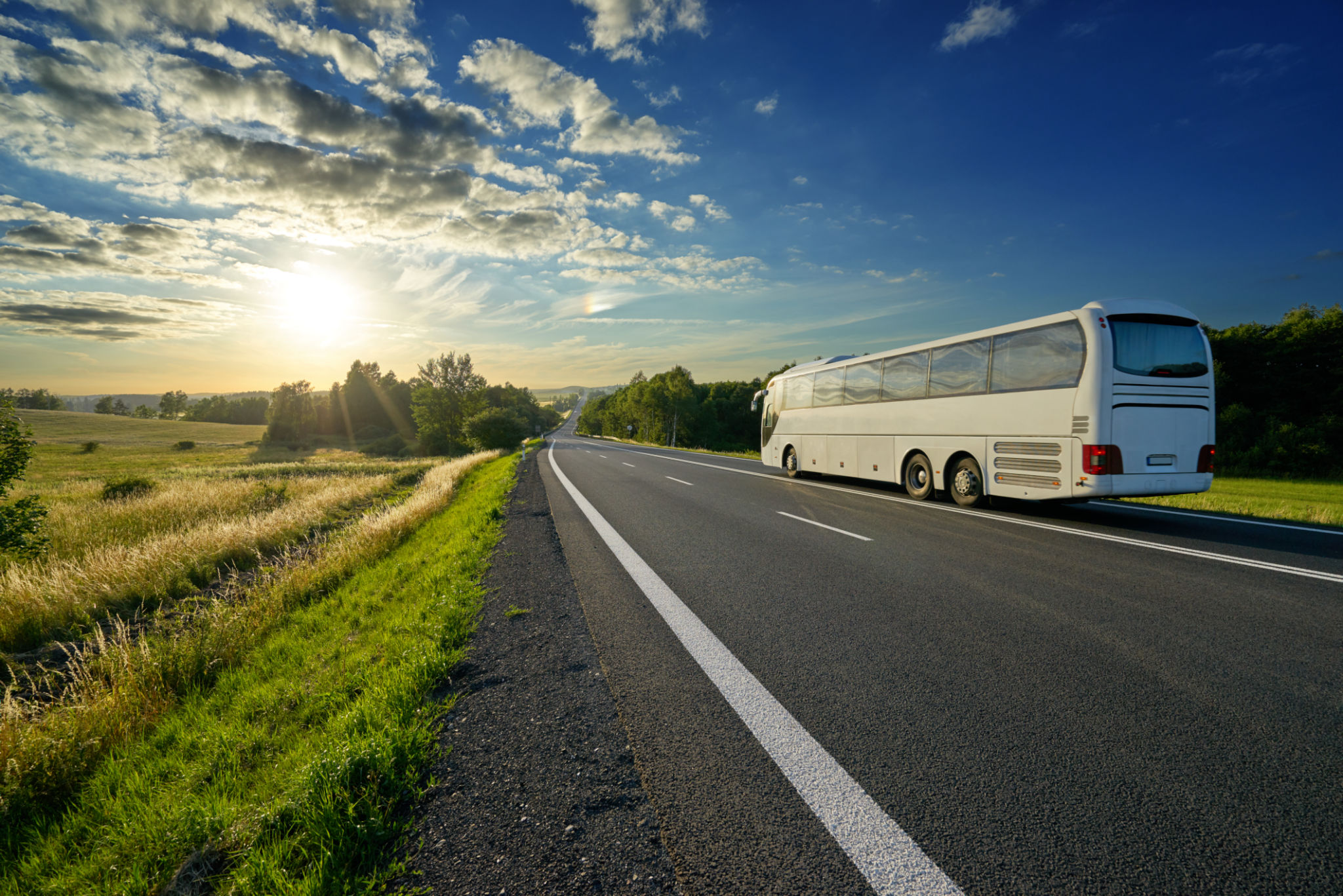 bus tour