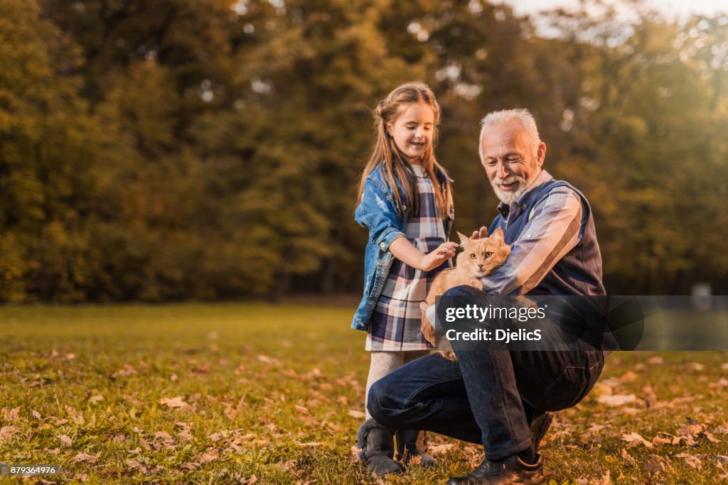 Foto van een grootvader en zijn kleindochter die hun Maine Coon kat aaien.