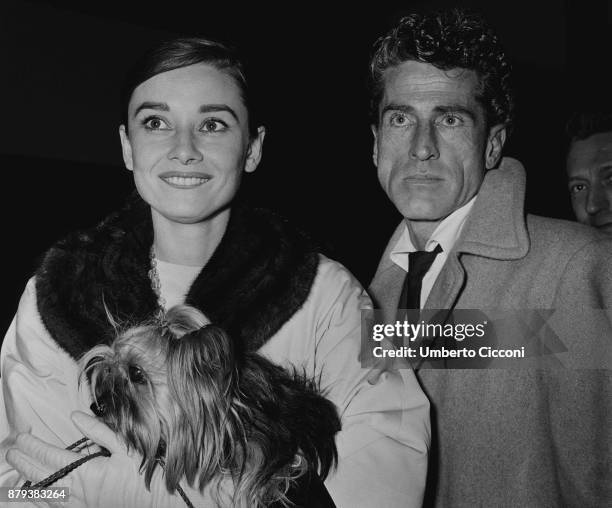 British actress Audrey Hepburn with her dog and Austrian-born American film director Alfred Zinnemann, Italy 1958.