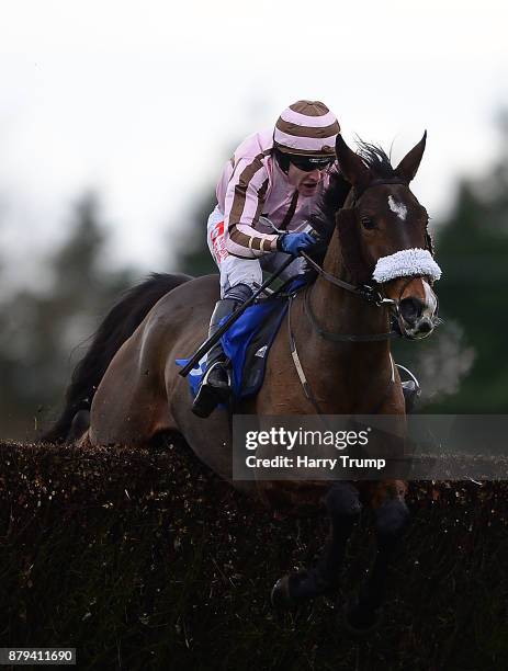 You Say What ridden by Tom Scudamore jump the last on their way to winning the Read Noel Fehily At 188Bet Handicap Chase at Exeter Racecourse on...