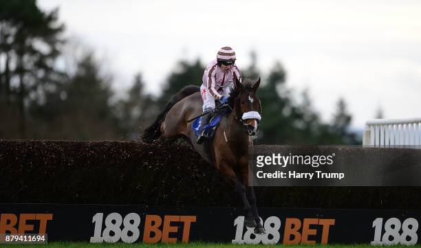 You Say What ridden by Tom Scudamore jump the last on their way to winning the Read Noel Fehily At 188Bet Handicap Chase at Exeter Racecourse on...