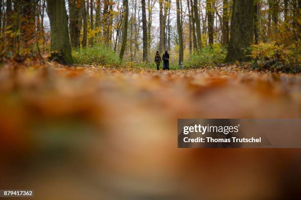 Luebben, Germany Two people take a walk through a autumnal forest on November 19, 2017 in Luebben, Germany.