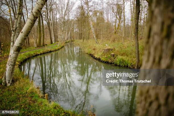 Luebbenau, Germany Trees reflect in the water of a canal of the Spree in the biosphere reserve Spreewald on November 20, 2017 in Luebbenau, Germany.