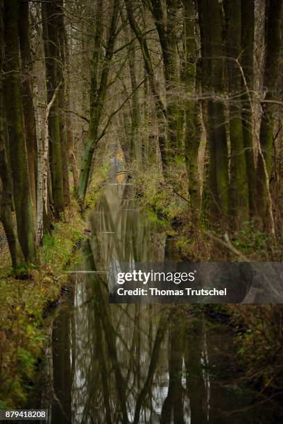Luebbenau, Germany Deciduous trees stand on a canal of the Spree in the biosphere reserve Spreewald on November 20, 2017 in Luebbenau, Germany.