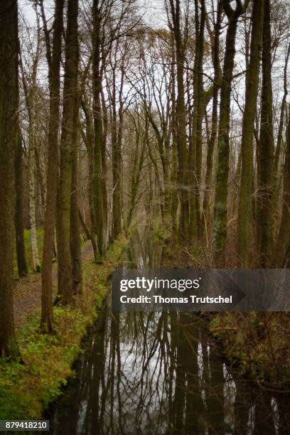 Luebbenau, Germany Deciduous trees stand on a canal of the Spree in the biosphere reserve Spreewald on November 20, 2017 in Luebbenau, Germany.