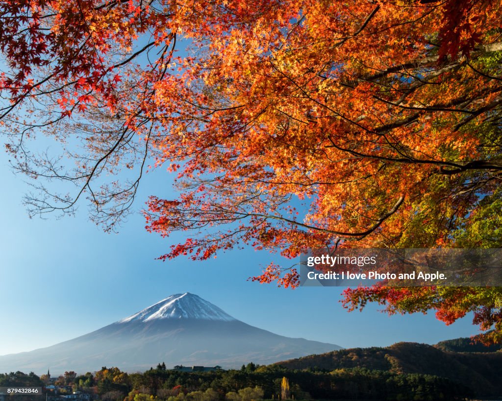 Fuji autumn scenery