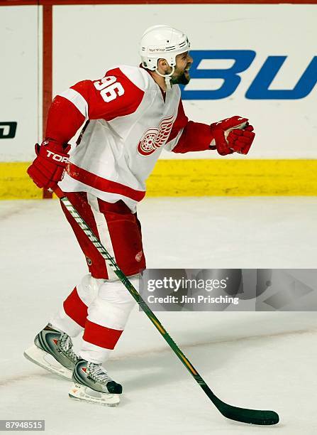 Tomas Holmstrom of the Detroit Red Wings celebrates after Jonathan Ericsson scored a goal in the second period against the Chicago Blackhawks during...