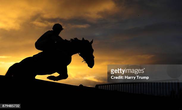 Runner takes a flight during the Devon County Show Conditional Jockeys Handicap Hurdle at Exeter Racecourse on November 26, 2017 in Exeter, England.