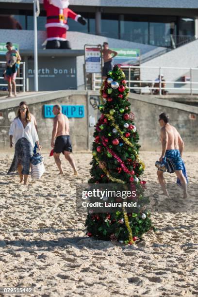 christmas tree on bondi beach - board shorts stock pictures, royalty-free photos & images