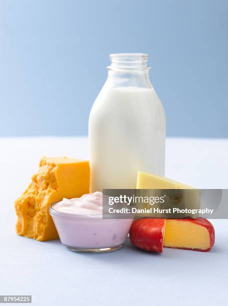 dairy products - produit laitier photos et images de collection